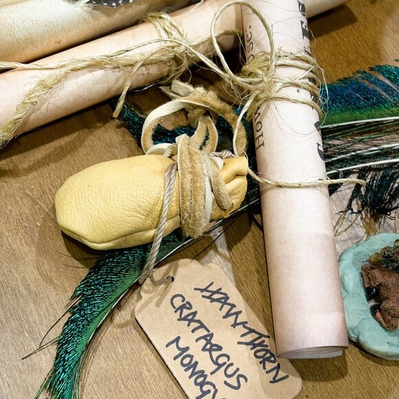 Magic Box For the Novice Witch - Picture 12 of 16